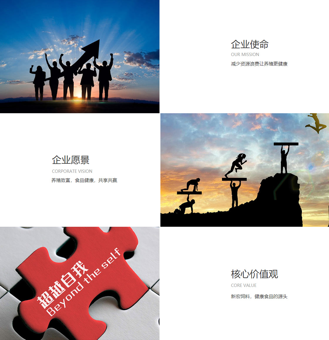关于我们(图1) 关于我们(图1)